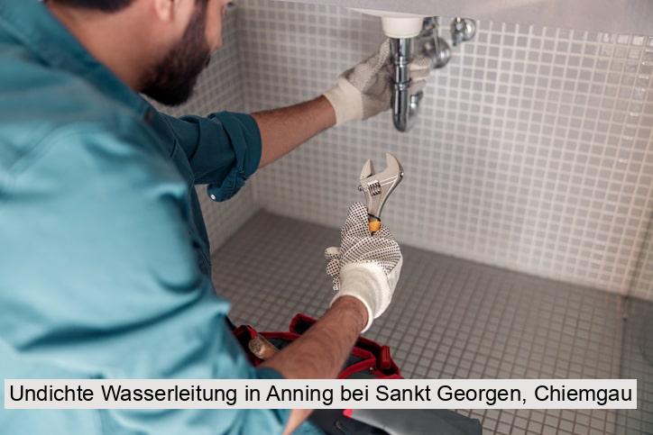 Undichte Wasserleitung in Anning bei Sankt Georgen, Chiemgau